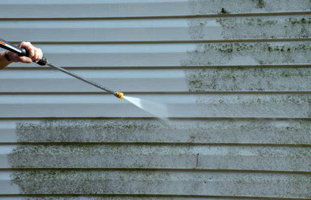 Best Driveway Pressure Washing  in Apple Valley, CA
